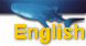English Version